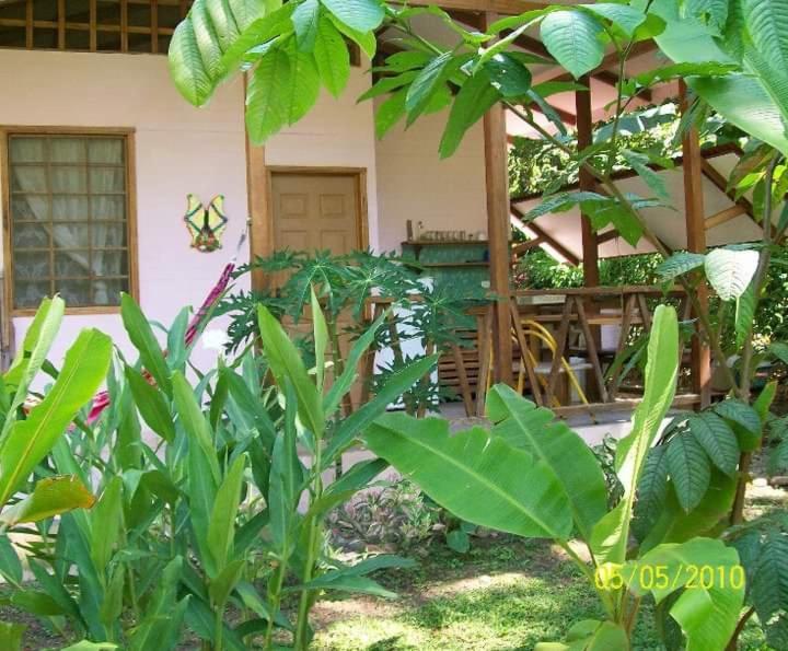 Luna Caribena Village Puerto Viejo de Talamanca Exteriér fotografie