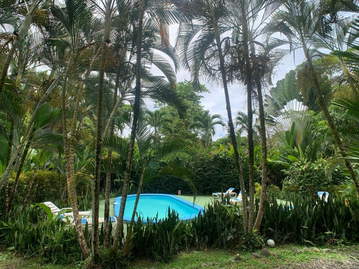 Luna Caribena Village Puerto Viejo de Talamanca Exteriér fotografie