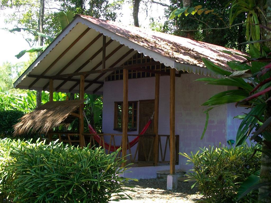 Luna Caribena Village Puerto Viejo de Talamanca Exteriér fotografie