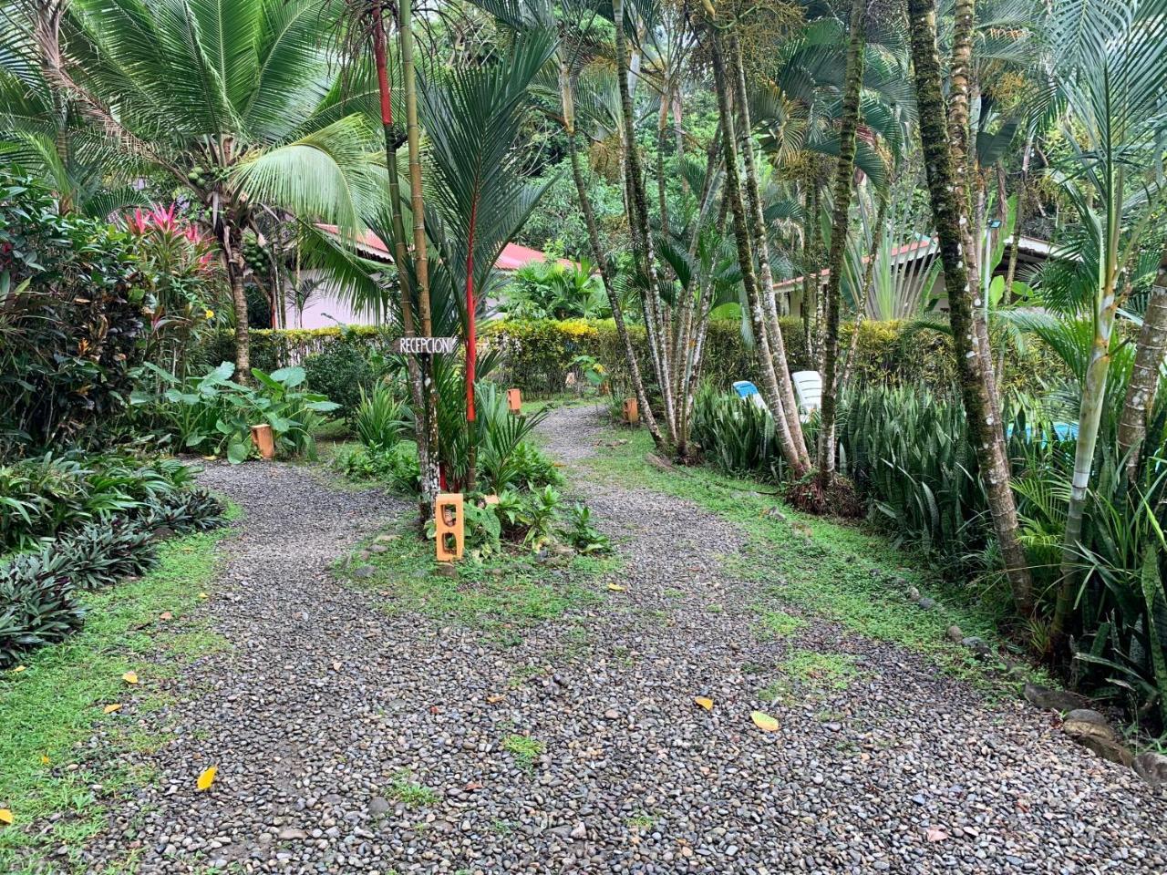 Luna Caribena Village Puerto Viejo de Talamanca Exteriér fotografie