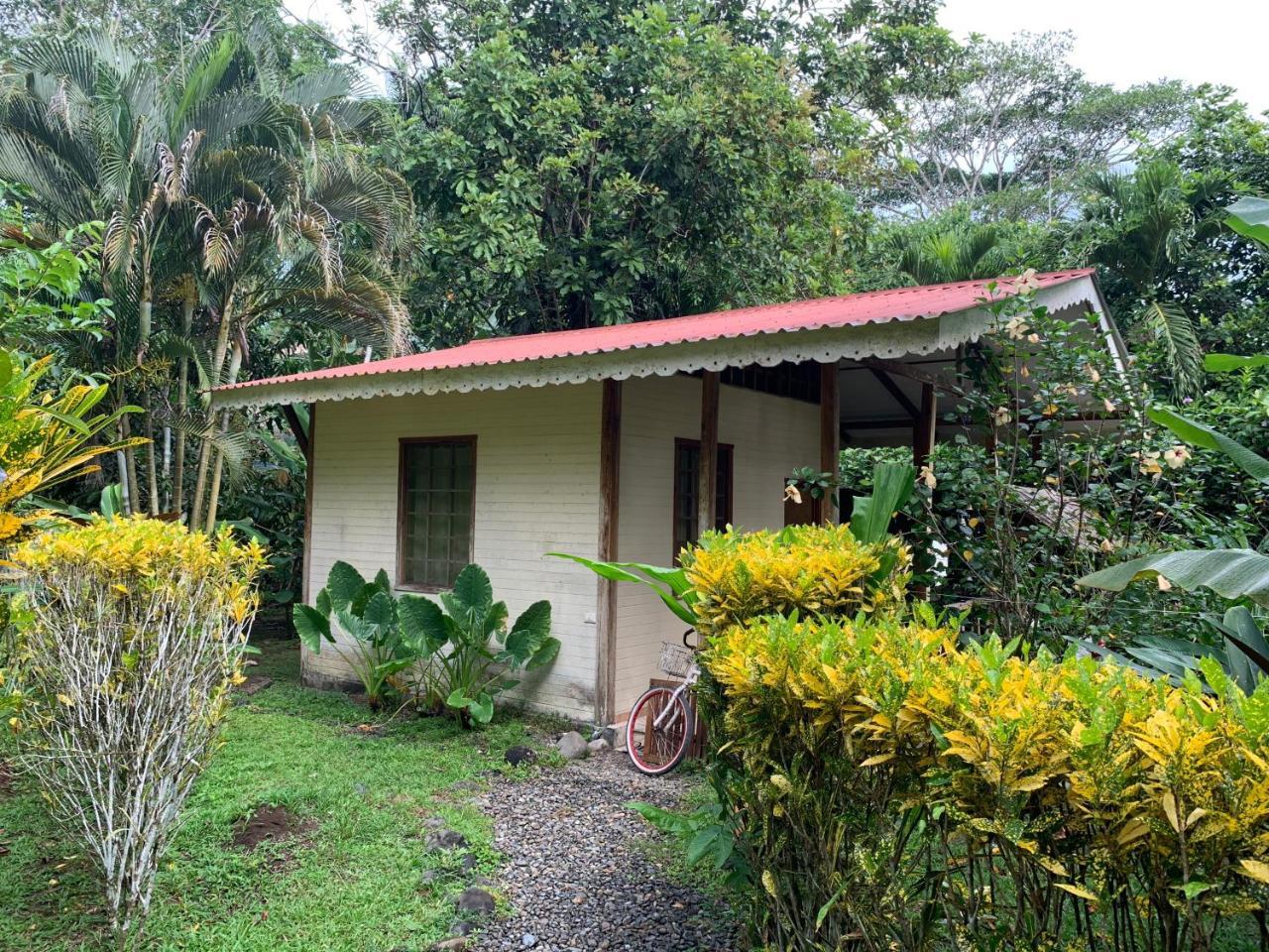 Luna Caribena Village Puerto Viejo de Talamanca Exteriér fotografie