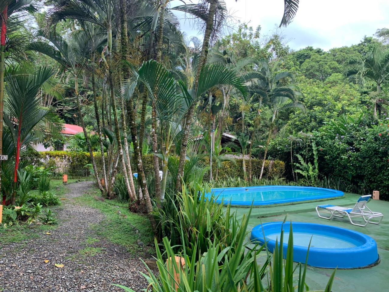 Luna Caribena Village Puerto Viejo de Talamanca Exteriér fotografie