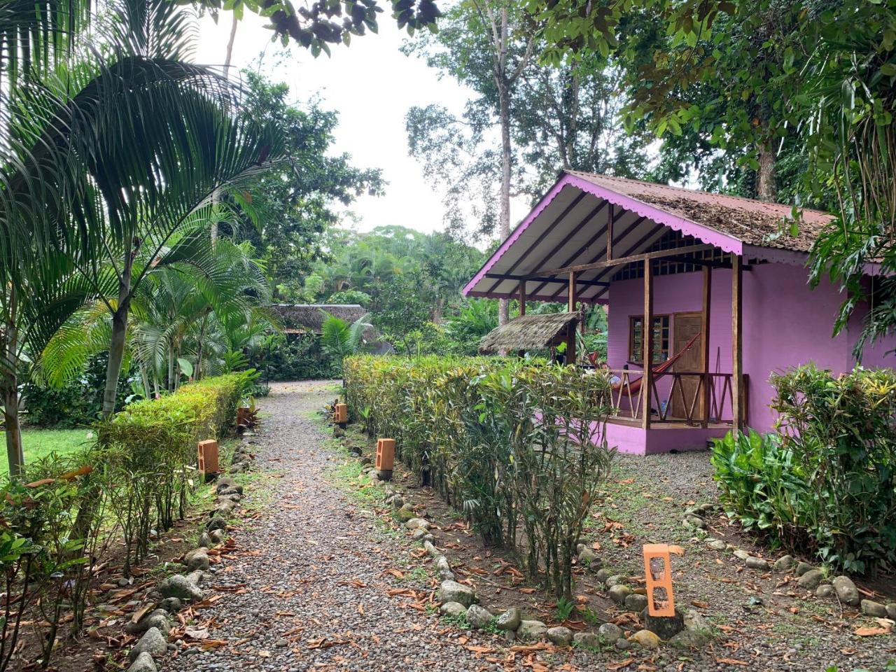 Luna Caribena Village Puerto Viejo de Talamanca Exteriér fotografie